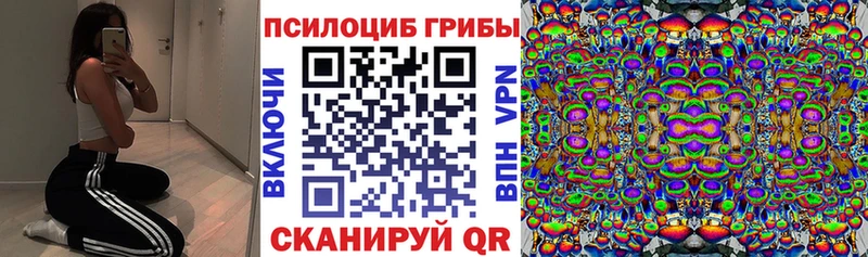 Галлюциногенные грибы Psilocybe  Купить где  Мыски 